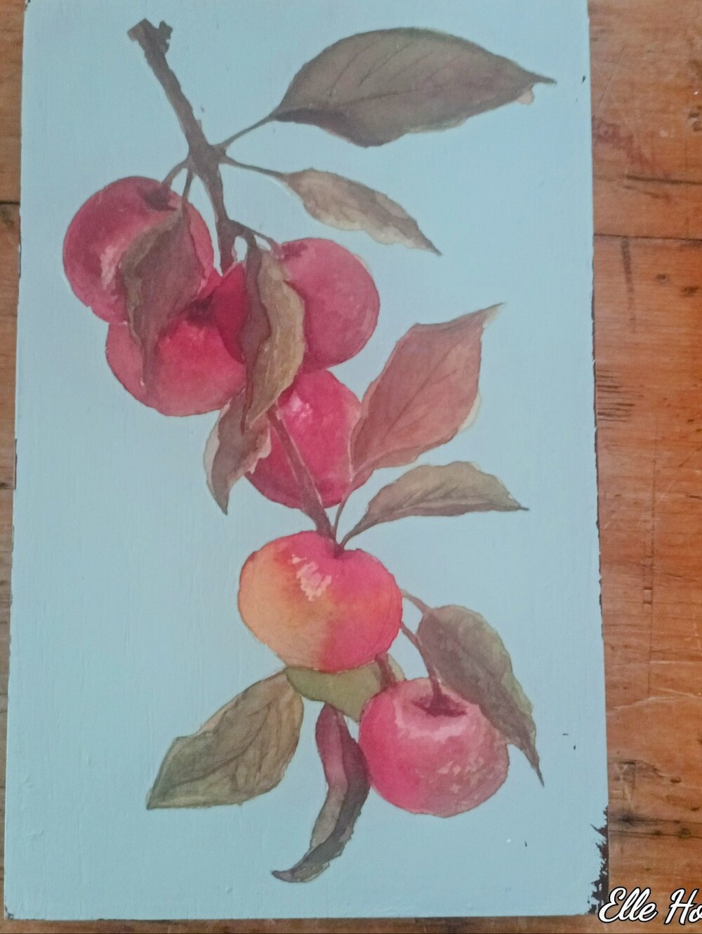 Red and Green Apple Branch  Hand Painted. Rescued Restored Revised